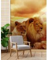 Animal Wallpapers - Couple of lions | FEEBY