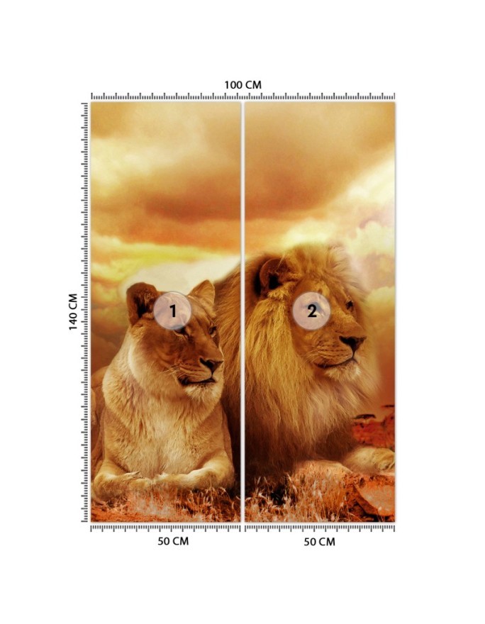 Animal Wallpapers - Couple of lions | FEEBY