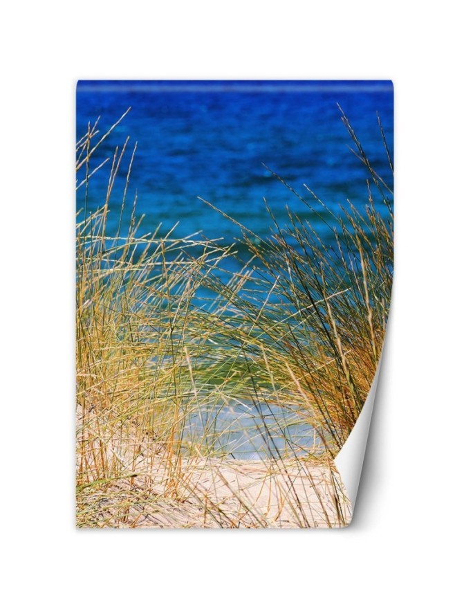 The most fashionable Wallpapers - Tall grasses by the sea | FEEBY
