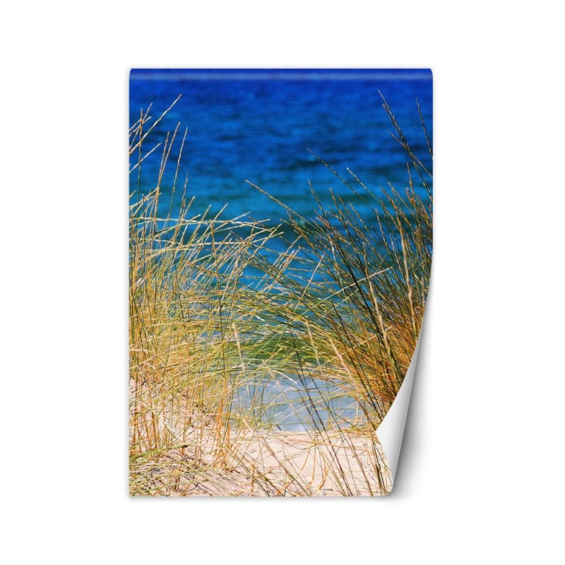 The most fashionable Wallpapers - Tall grasses by the sea | FEEBY