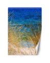 The most fashionable Wallpapers - Tall grasses by the sea | FEEBY