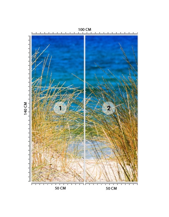 The most fashionable Wallpapers - Tall grasses by the sea | FEEBY