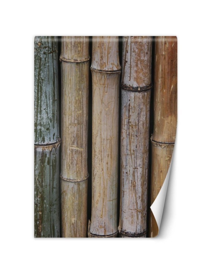 Texture wall mural - Pastel babmusa stems | FEEBY