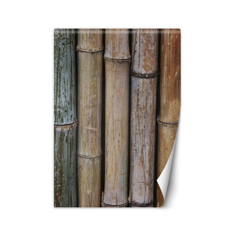 Texture wall mural - Pastel babmusa stems | FEEBY