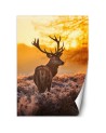 Unique Wallpapers - Deer at sunset | FEEBY
