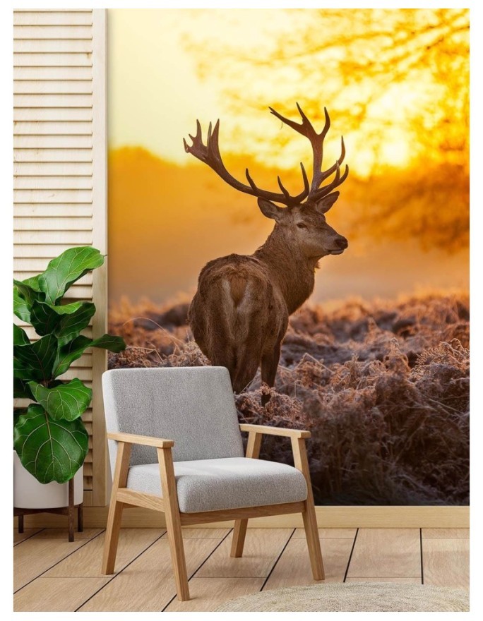 Unique Wallpapers - Deer at sunset | FEEBY