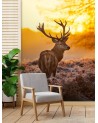 Unique Wallpapers - Deer at sunset | FEEBY