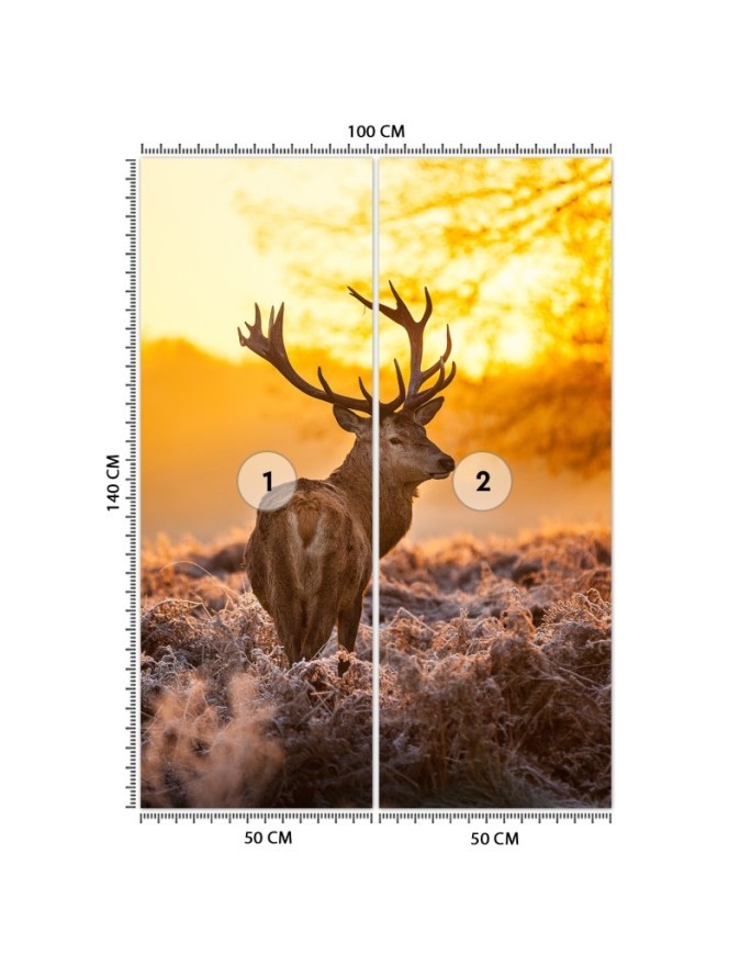 Unique Wallpapers - Deer at sunset | FEEBY