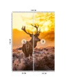 Unique Wallpapers - Deer at sunset | FEEBY