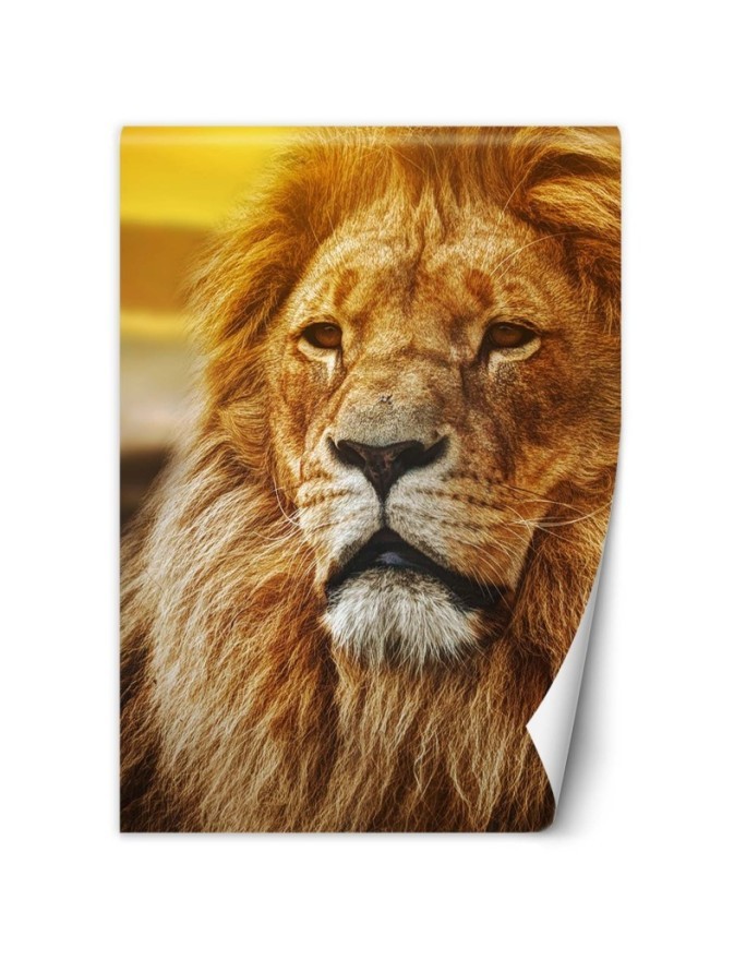 Animal wall murals - Portrait of a lion | FEEBY