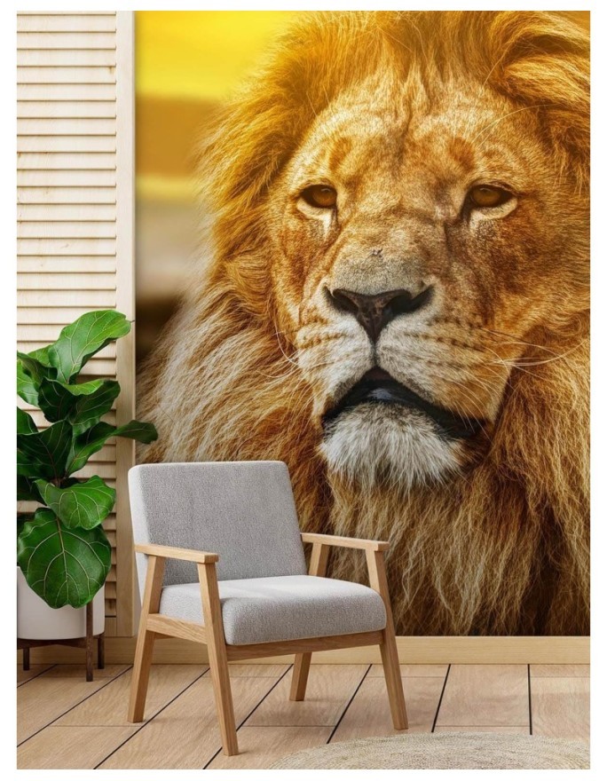 Animal wall murals - Portrait of a lion | FEEBY