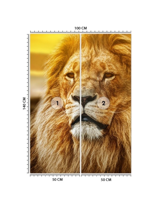 Animal wall murals - Portrait of a lion | FEEBY
