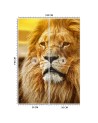 Animal wall murals - Portrait of a lion | FEEBY