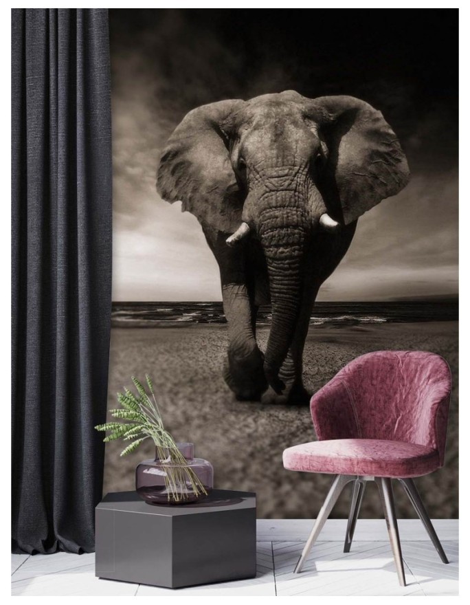 Trendy wall murals for living room - African elephant nature | FEEBY