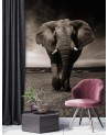 Trendy wall murals for living room - African elephant nature | FEEBY