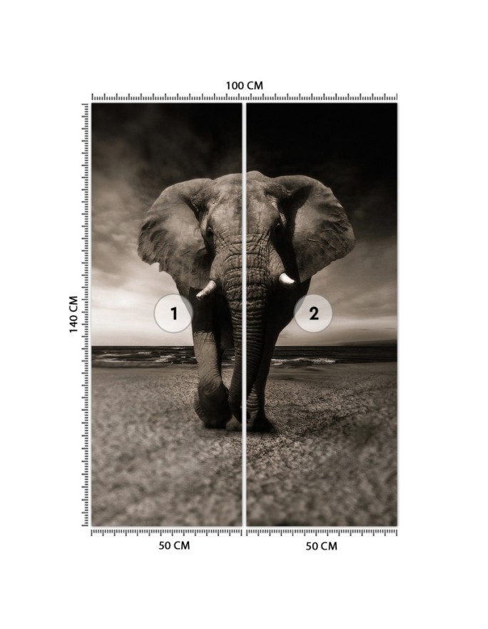 Trendy wall murals for living room - African elephant nature | FEEBY