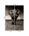 Trendy wall murals for living room - African elephant nature | FEEBY