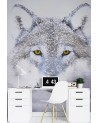Wall mural - Portrait of a wolf in winter | FEEBY