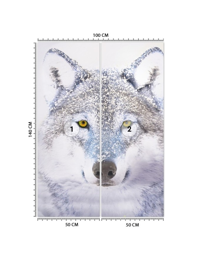 Wall mural - Portrait of a wolf in winter | FEEBY