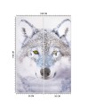 Wall mural - Portrait of a wolf in winter | FEEBY