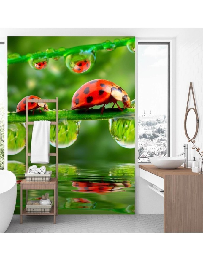 Nature wall murals - Ladybirds water droplets | FEEBY