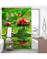 Nature wall murals - Ladybirds water droplets | FEEBY