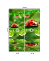 Nature wall murals - Ladybirds water droplets | FEEBY