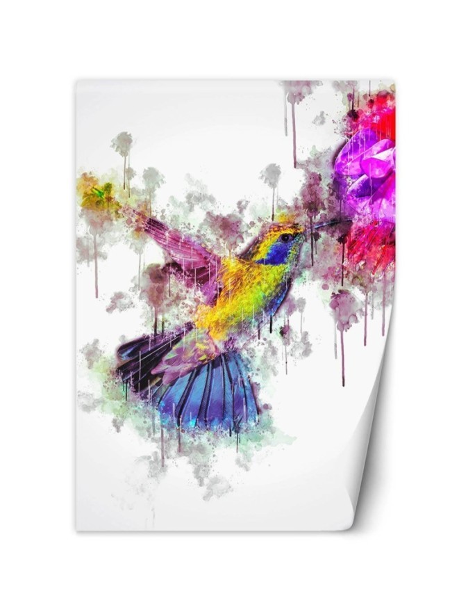 Wall mural for a girl's room - Colourful hummingbird Cornel Vlad | FEEBY