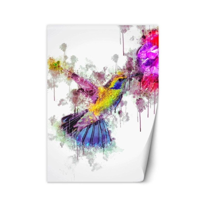 Wall mural for a girl's room - Colourful hummingbird Cornel Vlad | FEEBY