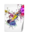 Wall mural for a girl's room - Colourful hummingbird Cornel Vlad | FEEBY
