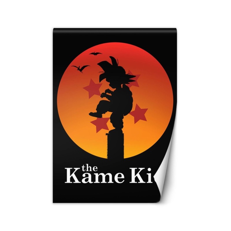 Teenage Wallpaper - The Kame Kid Dr.Monekers | FEEBY