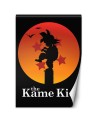 Teenage Wallpaper - The Kame Kid Dr.Monekers | FEEBY