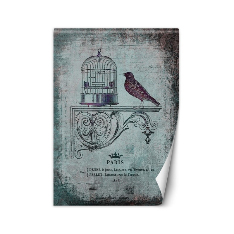 Designer wall mural - Abstract bird animals nature Andrea Haase | FEEBY