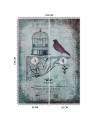 Designer wall mural - Abstract bird animals nature Andrea Haase | FEEBY