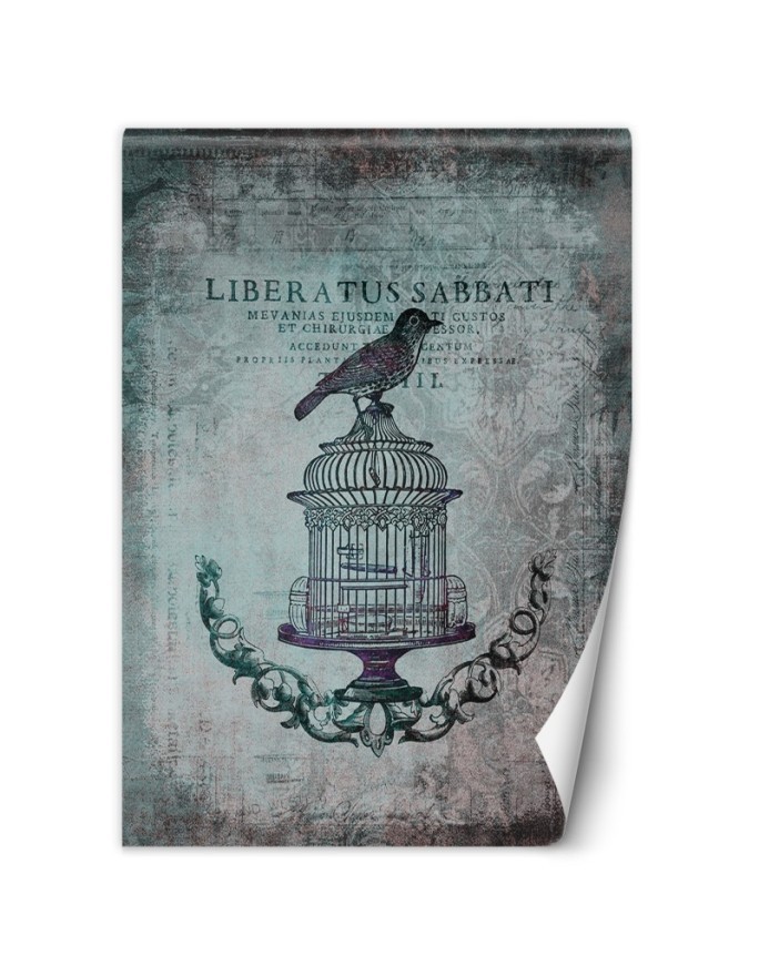 Modern wall murals - Bird on a cage abstract Andrea Haase | FEEBY