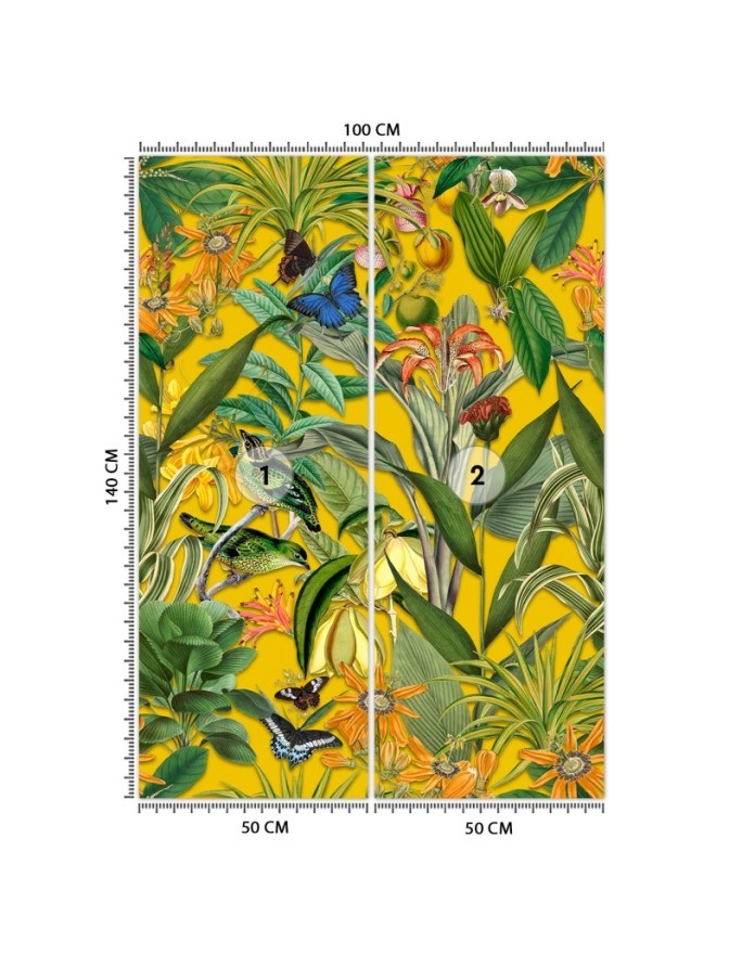Wallpaper - Colourful flowers leaves nature Andrea Haase | FEEBY
