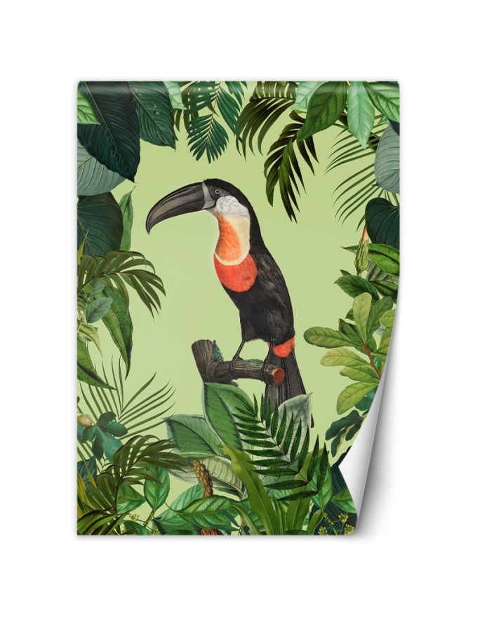Original Wallpaper - Parrot on green background Andrea Haase | FEEBY