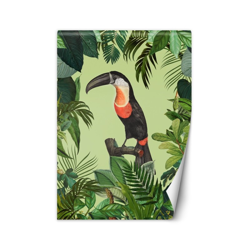 Original Wallpaper - Parrot on green background Andrea Haase | FEEBY