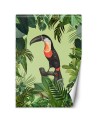 Original Wallpaper - Parrot on green background Andrea Haase | FEEBY