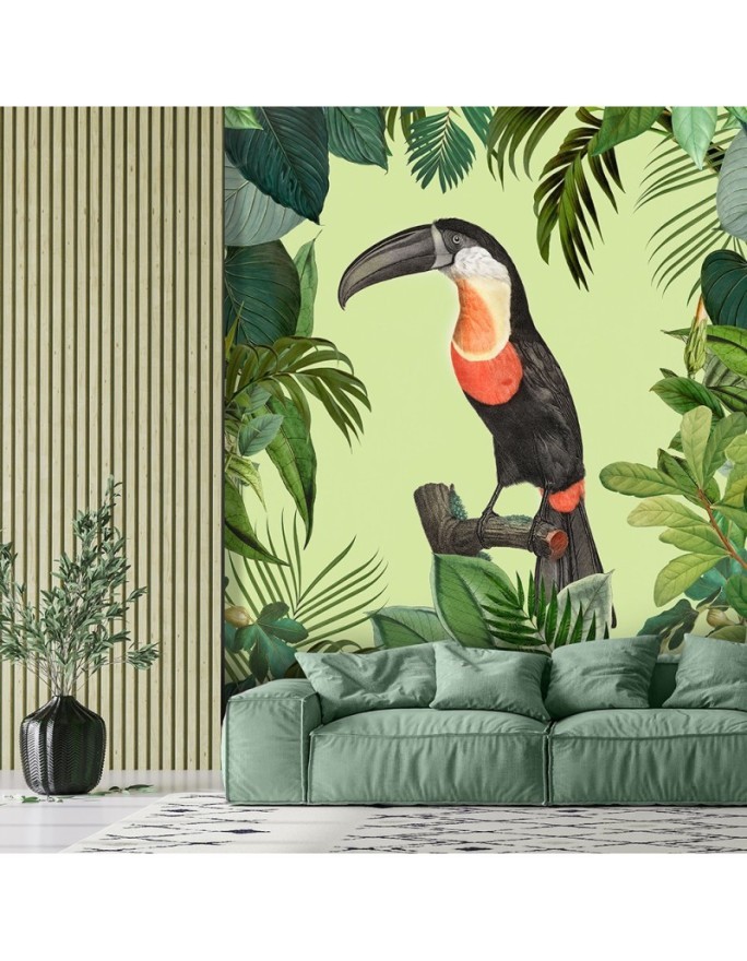 Original Wallpaper - Parrot on green background Andrea Haase | FEEBY