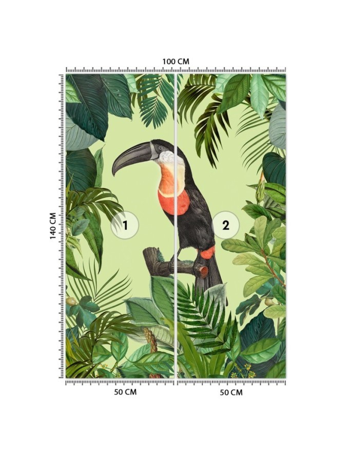 Original Wallpaper - Parrot on green background Andrea Haase | FEEBY
