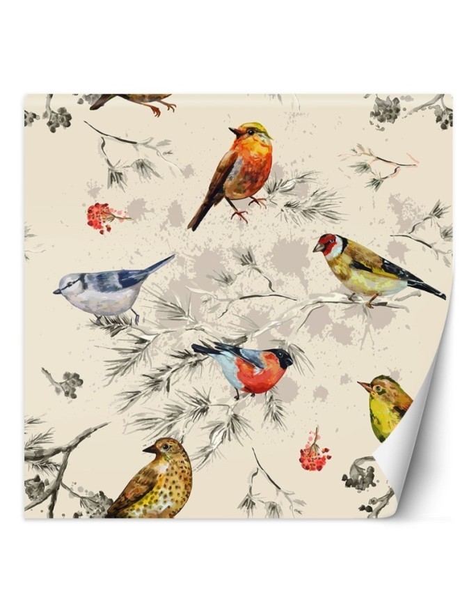 Beautiful Wallpapers - Colourful birds painted in watercolour | FEEBY