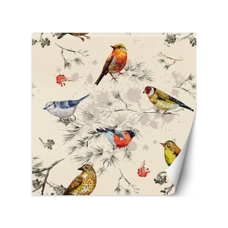 Beautiful Wallpapers - Colourful birds painted in watercolour | FEEBY