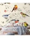 Beautiful Wallpapers - Colourful birds painted in watercolour | FEEBY