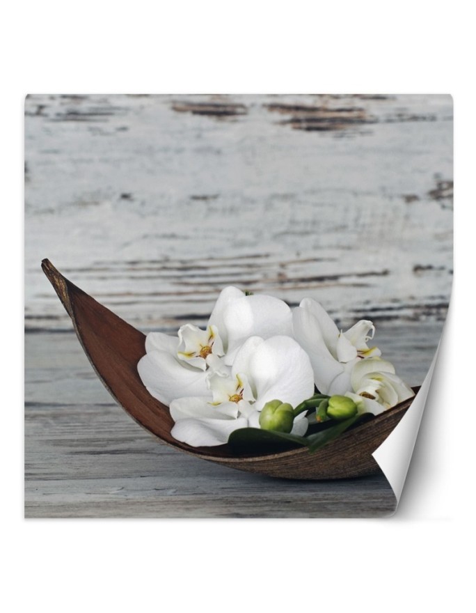 Stylish Wallpapers - White orchid flowers on old board background | FEEBY