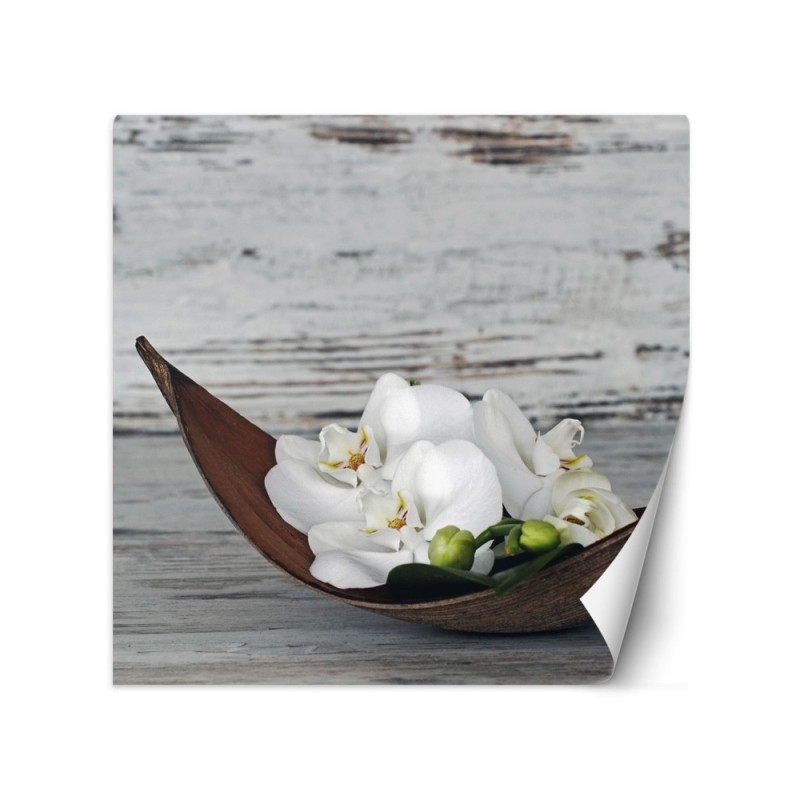 Stylish Wallpapers - White orchid flowers on old board background | FEEBY