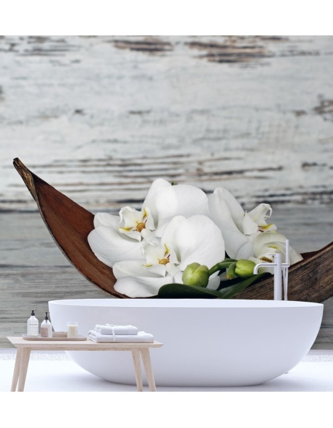 Stylish Wallpapers - White orchid flowers on old board background | FEEBY
