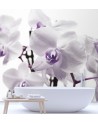 Wallpaper - Purple orchid with dew on petals | FEEBY