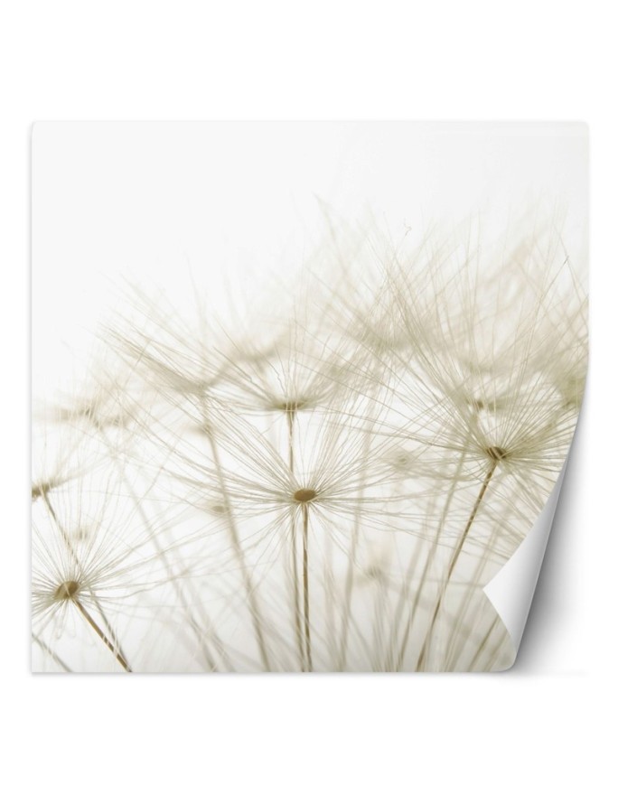 Stylish Wallpaper - Puffer plants in white | FEEBY