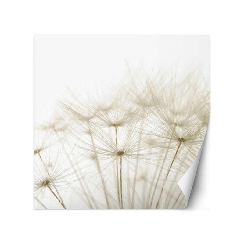Stylish Wallpaper - Puffer plants in white | FEEBY